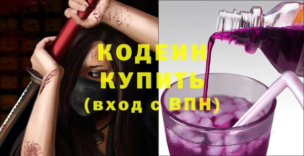 молекула духа Инсар