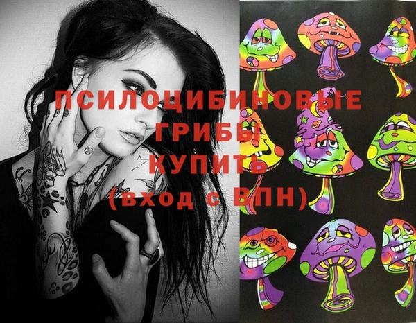 не бодяженный Иннополис