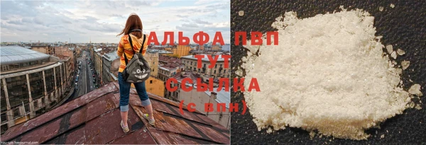 молекула духа Инсар