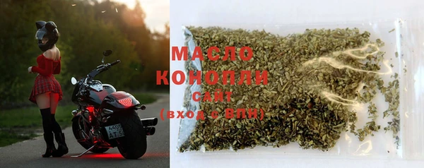 молекула духа Инсар
