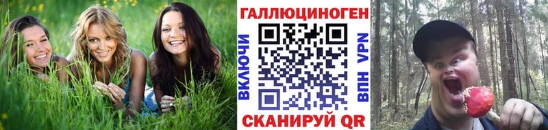 Псилоцибиновые грибы MAGIC MUSHROOMS Саяногорск