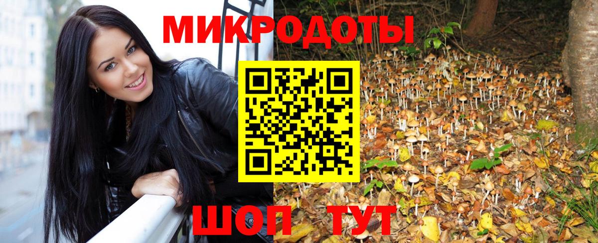 Псилоцибиновые грибы MAGIC MUSHROOMS  Галлюциногенные грибы Magic Shrooms  Саяногорск  Вход с VPN 